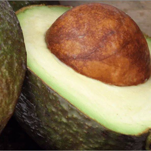 jalisco-to-finally-begin-exporting-avocados-to-u-s-this-month-mexican