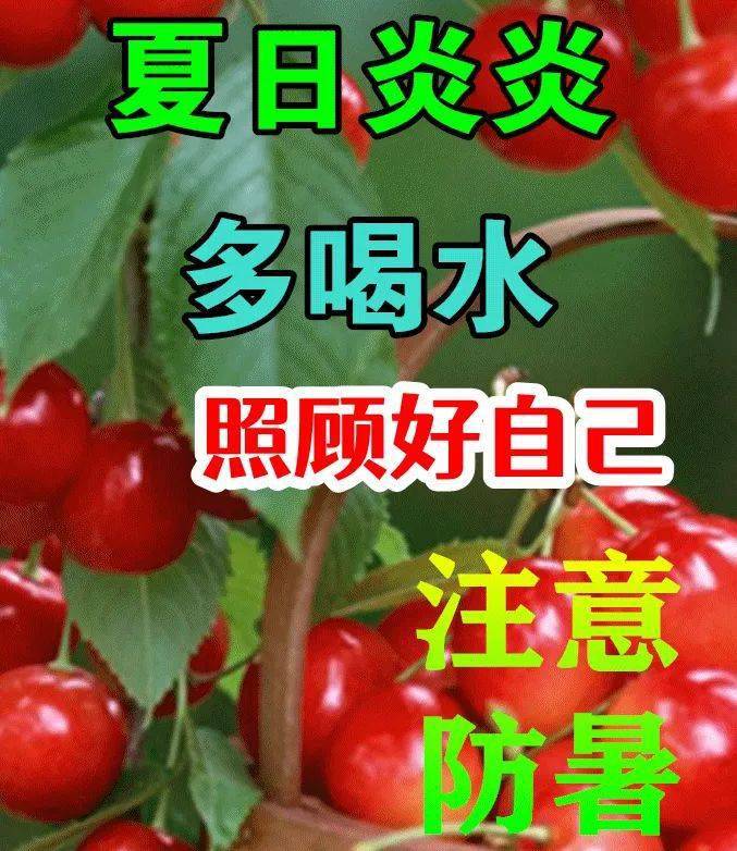 人生苦短,不要让自己活得太累.早安