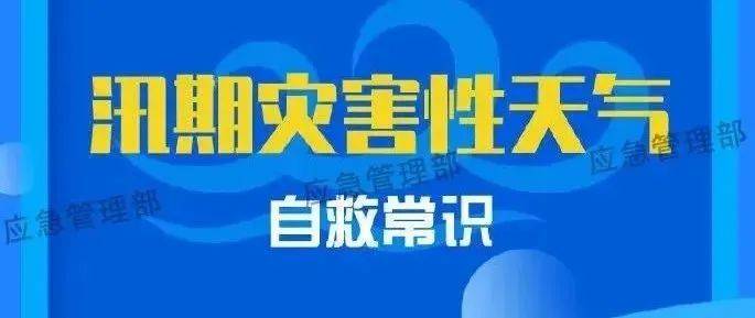 应急科普丨图说：这份汛期灾害性天气自救指南请查收周口救援王梓萁 0099