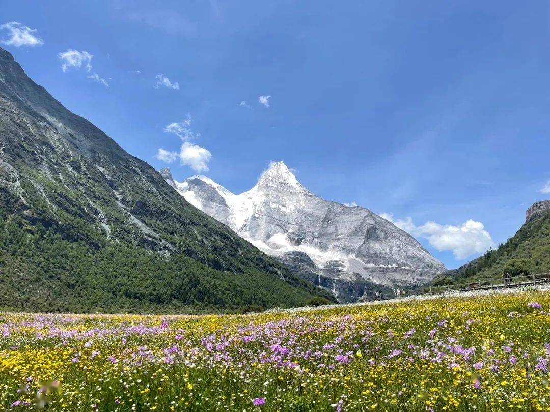 稻城亞丁的涼風給足你夏日微醺感