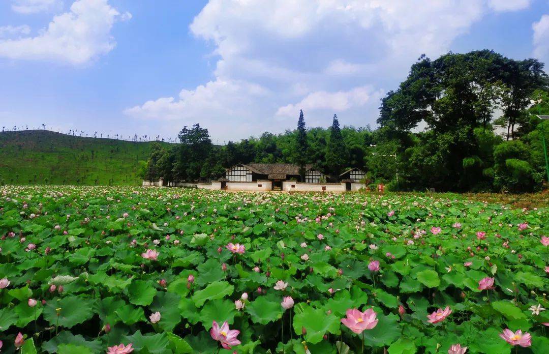 打卡!益阳清溪村高质量赏玩攻略,赶紧冲!_周立波_书屋_巨变