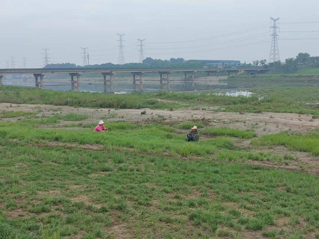 太原第二水源暨太忻一體化經濟區滹沱河供水工程