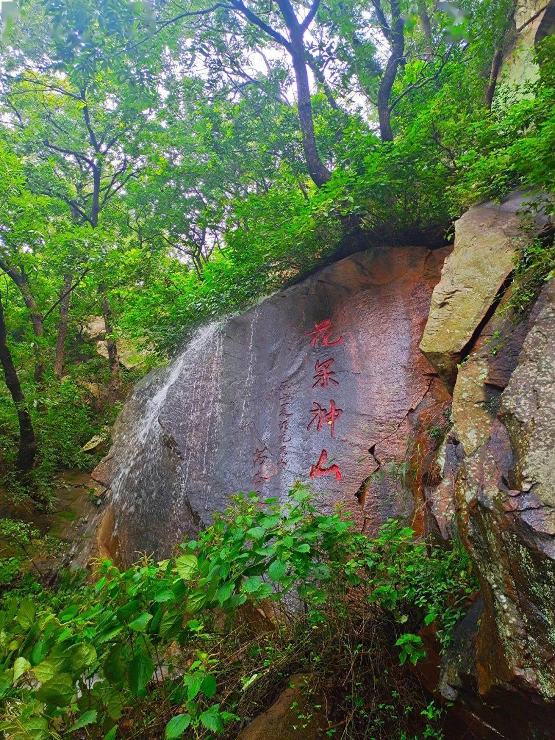 花果山图片手机壁纸图片