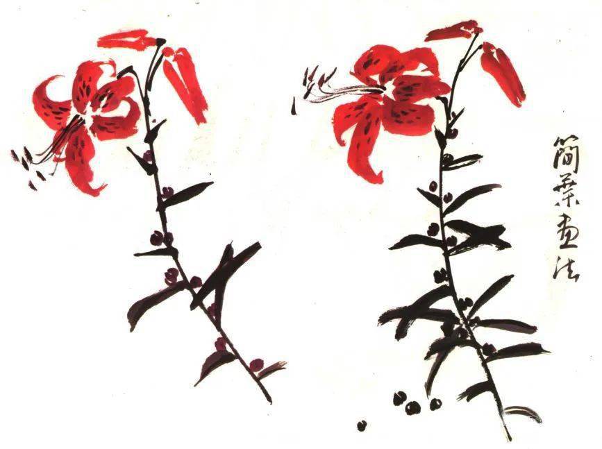 【国画教程】孙其峰教你画卷丹,太平鸟