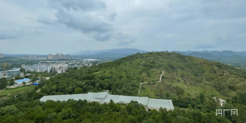 【大美边疆】桂林全州：昔日废弃锰矿焕发绿色生机