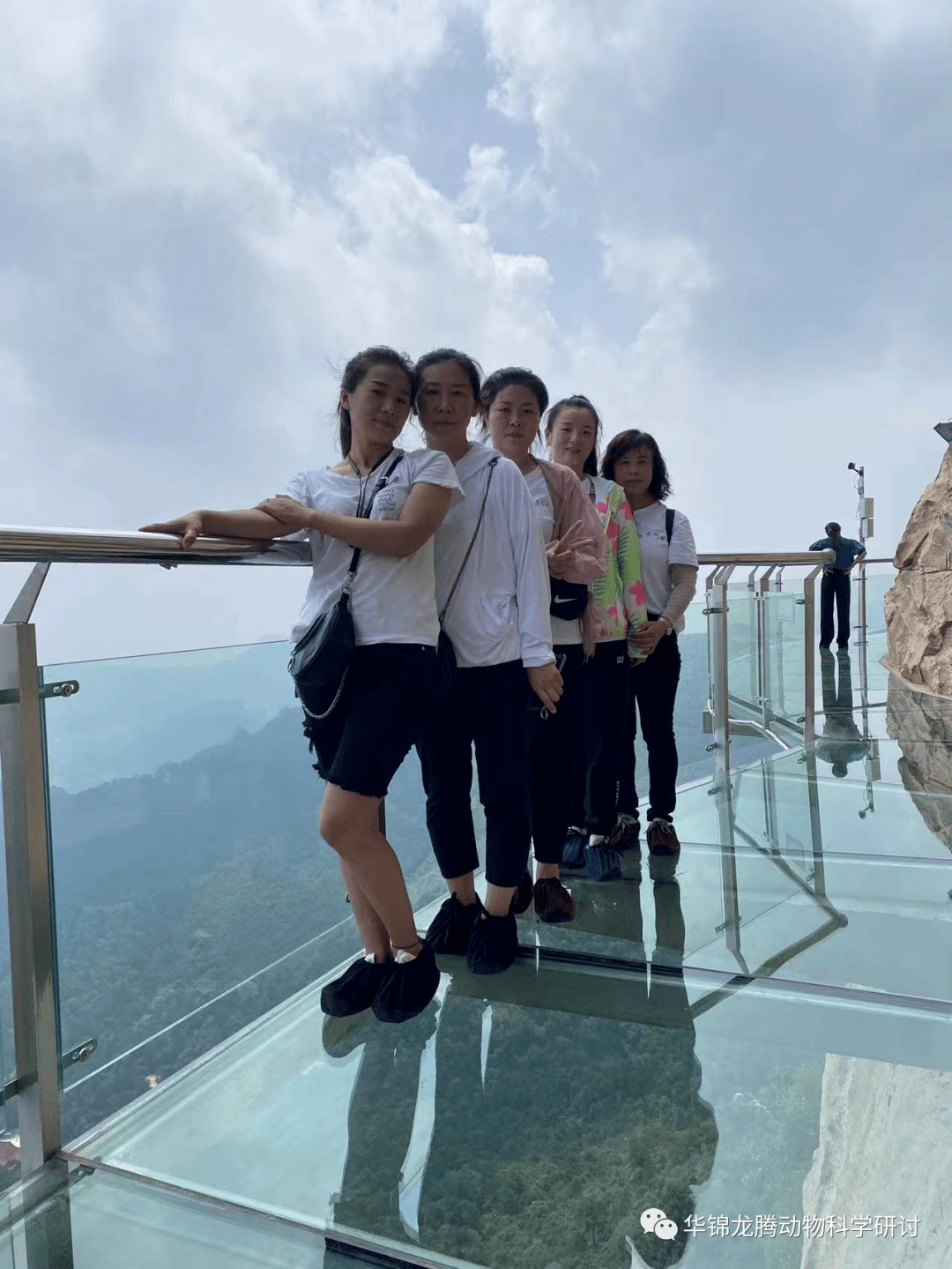 完美青春献华龙,最美旅行大芦花_玻璃_北镇_景区