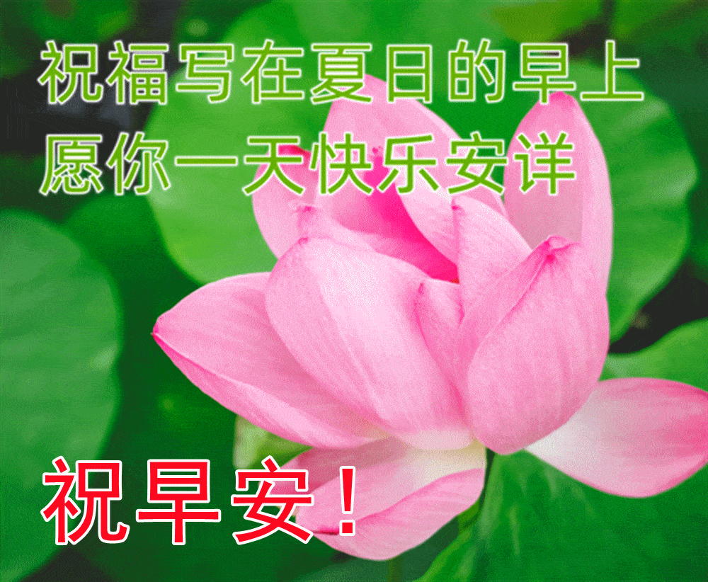 7月19日星期二早上好表情图片大全,周二早安天气炎热注意防暑_人生