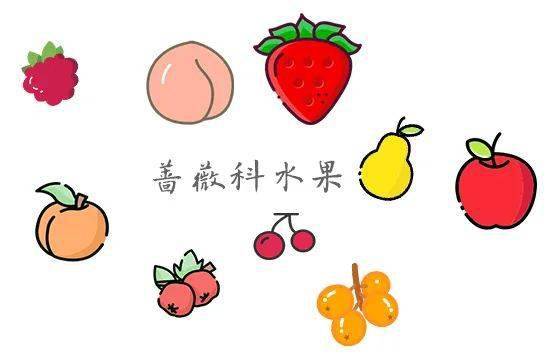 这甜蜜的小东西竟然还有两副面孔