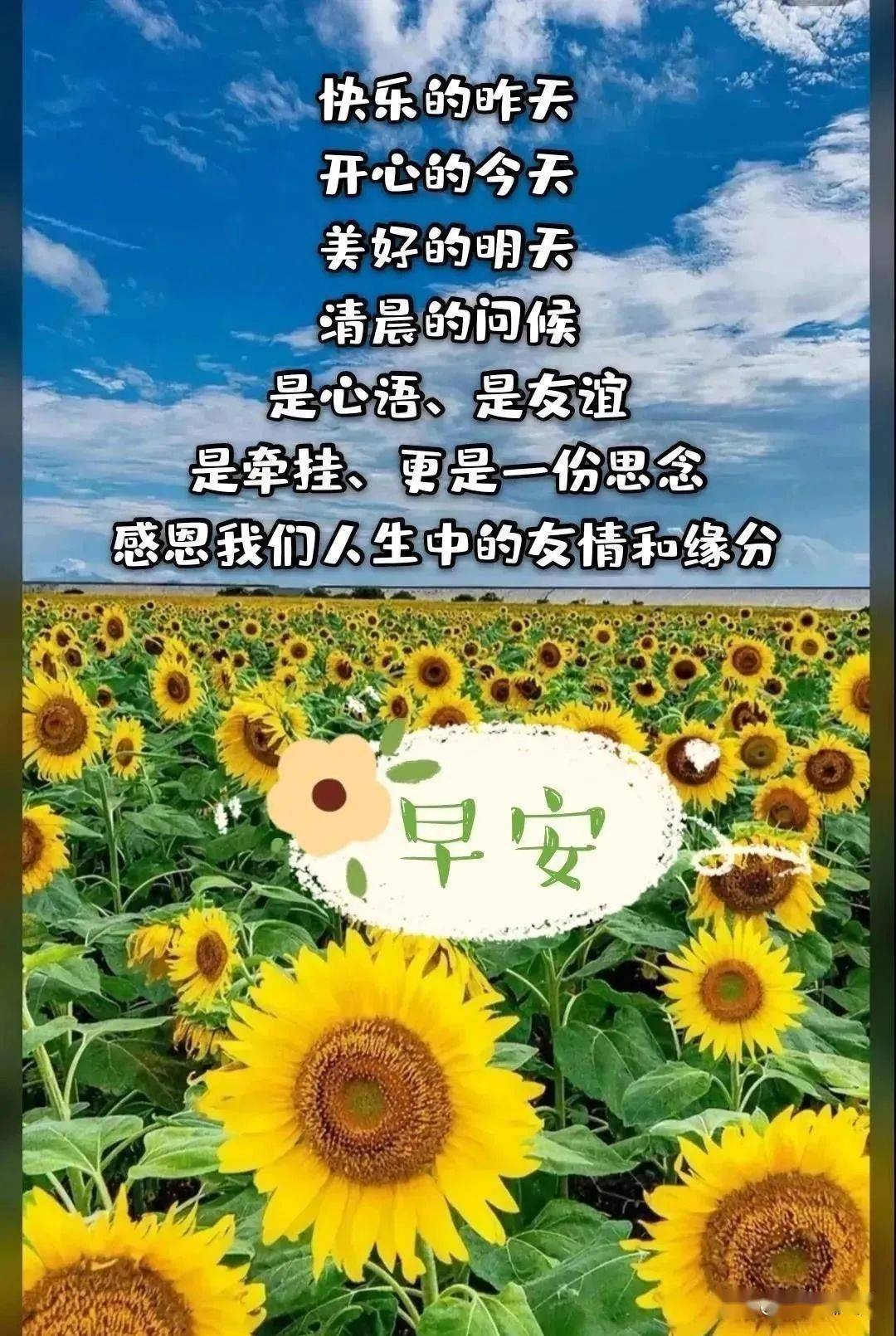 非常好看的夏天唯美温馨的早安图片带字 早上好问候语温馨图片带字