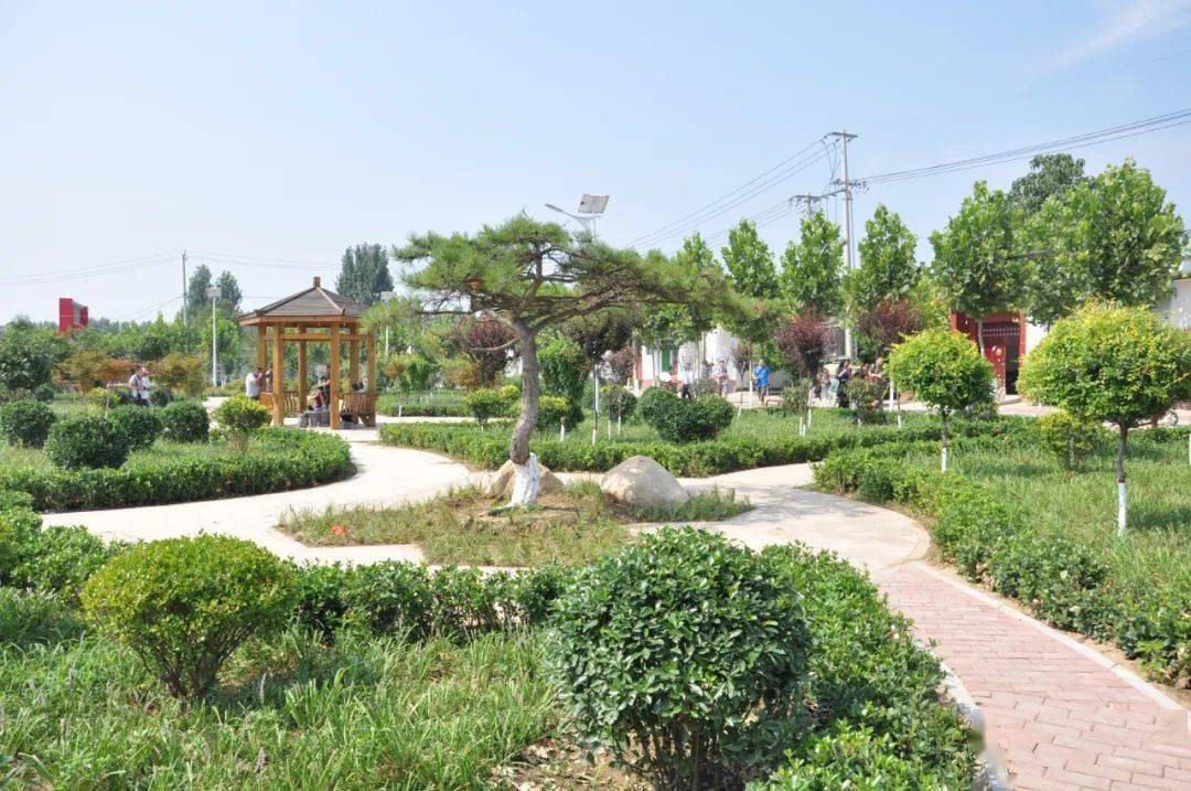 为汶上加油干义桥镇打造精品美丽庭院助力乡村振兴