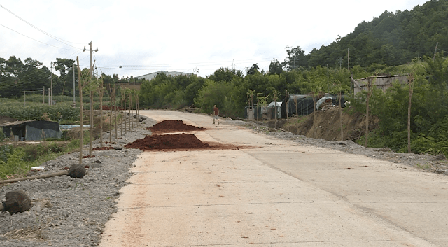新平县丨扬武镇文明实践与主题党日融合共建志愿植树添新绿
