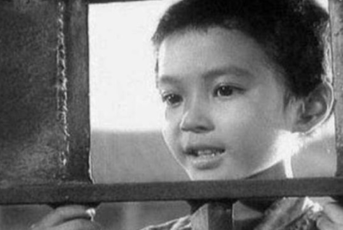 小萝卜头电影(小萝卜头的故事电影完整版免费)