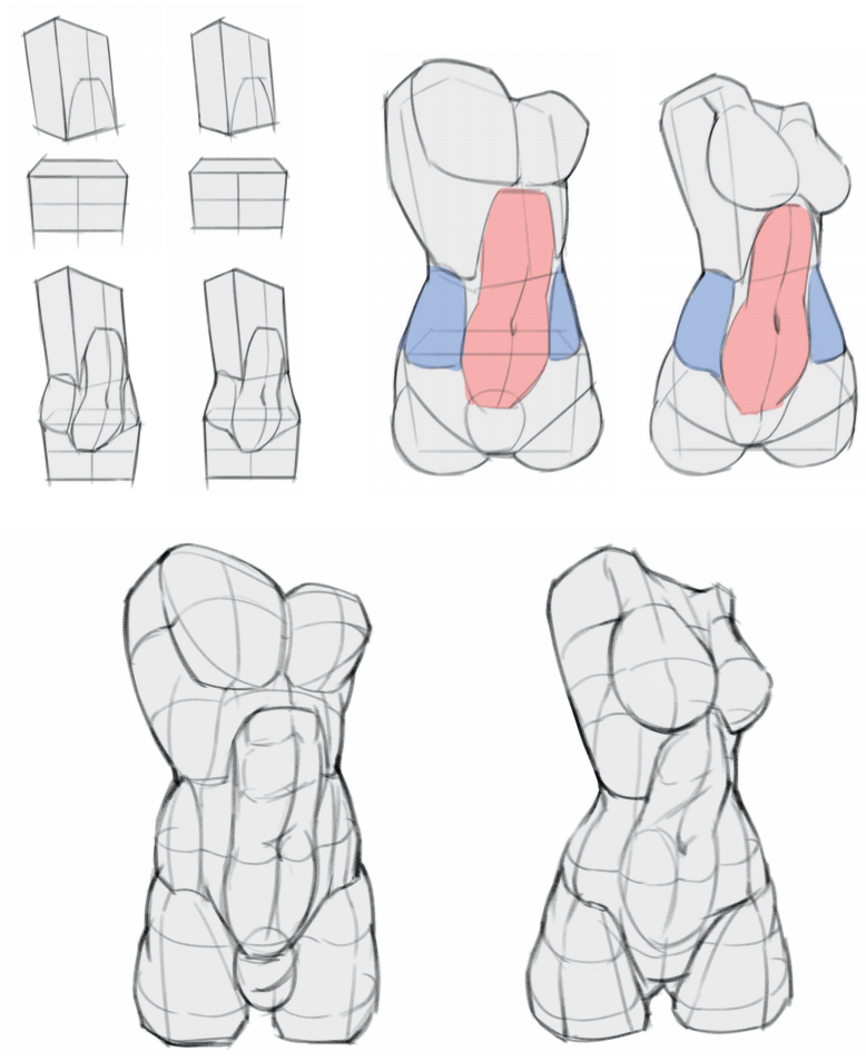 说了这么多, 其实重点是《动漫人体结构表现技法专项训练》这本书.