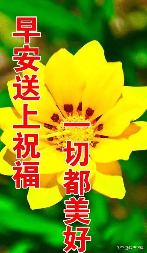 2022最新早上好暖心祝福大全,岁岁快乐,年年美好