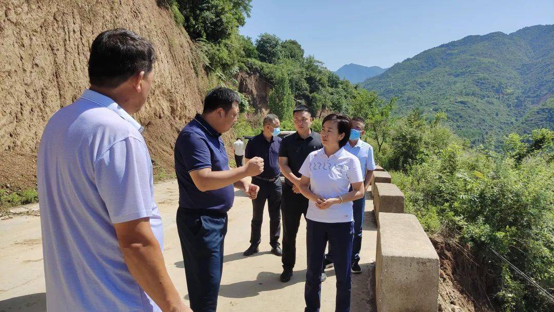 武冰检查全县疫情防控和防汛救灾工作_西坡镇_杨店_防控