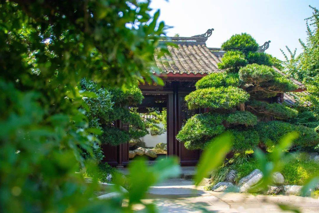 三邑园艺大暑将至此去闲游