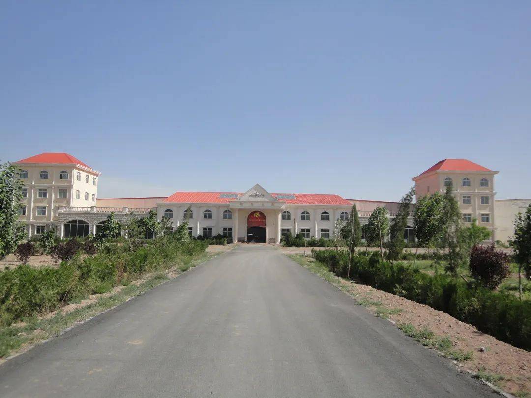 美丽市县丨低调朴实的酒庄——御马酒庄_葡萄_酿酒_宁夏