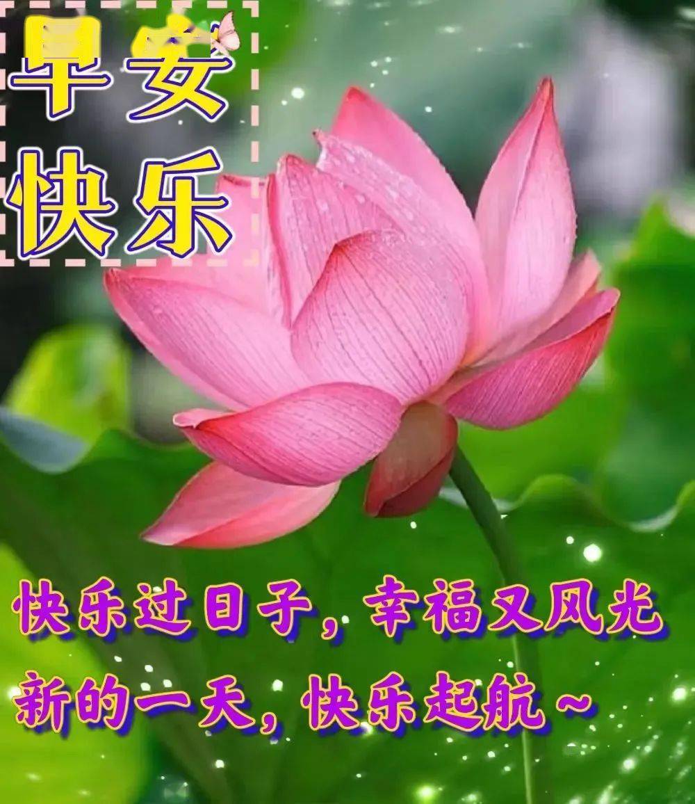 常常關心,讓思念更深;時時牽掛,讓彼此更近;天天問候,讓情義更濃.