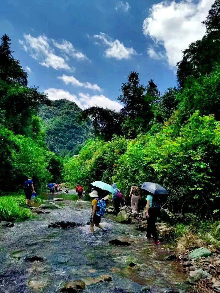 沅陵乡村小溪之恋 冉溪_队友_水潭_云朵