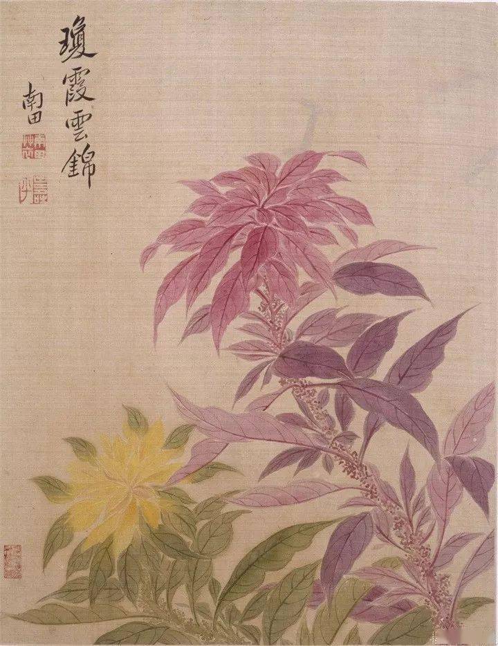 恽寿平235幅没骨花鸟画高清欣赏_南田_王翚_常州