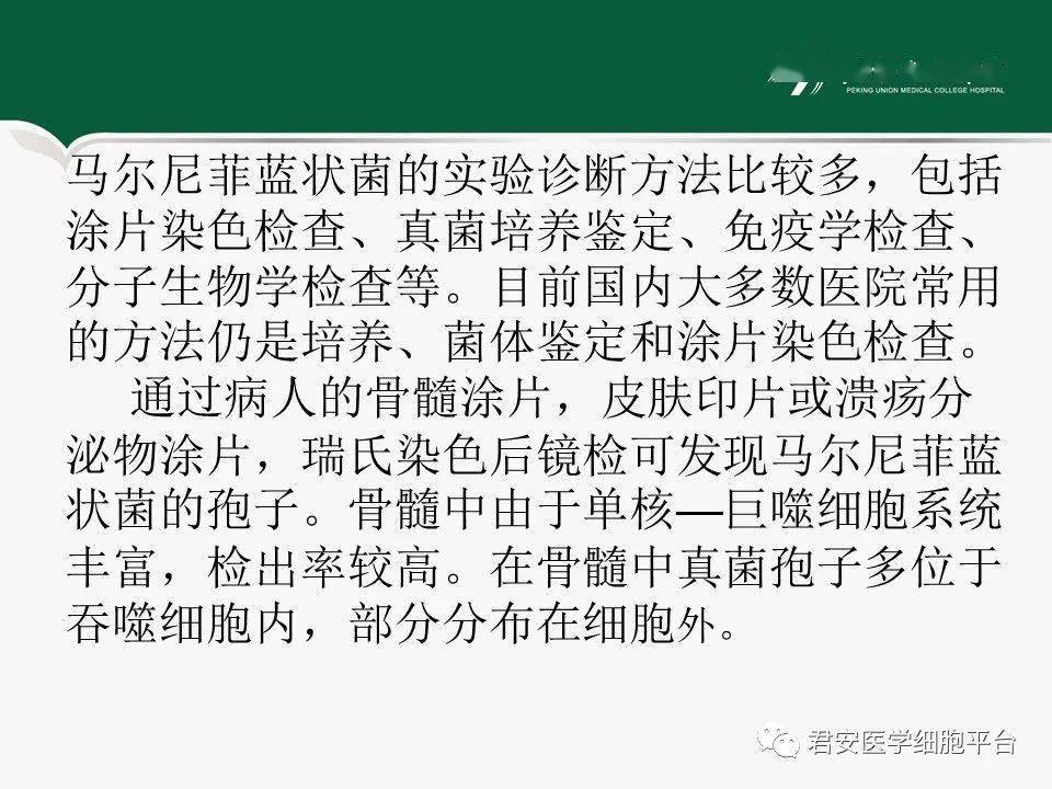 细菌培养报告单图片图片