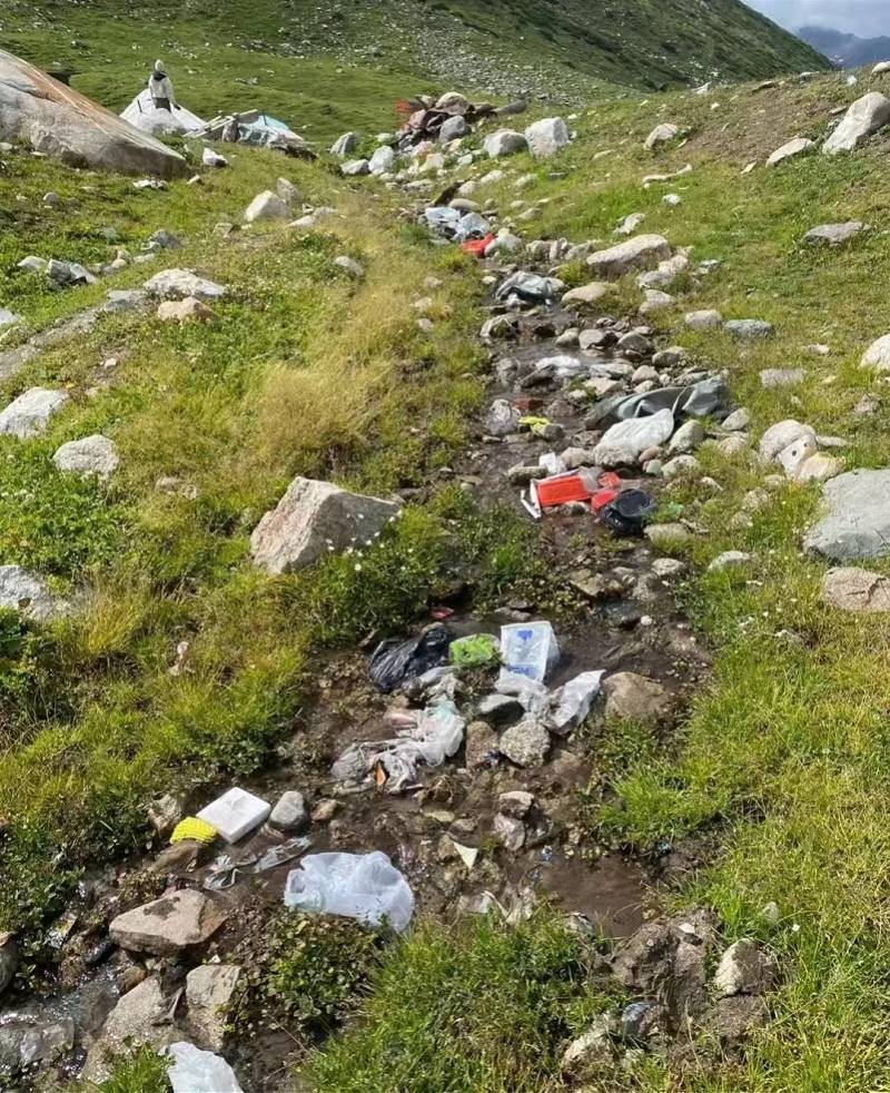 新疆文旅厅发文倡议不要让独库公路变成垃圾场！谨防牛羊误食