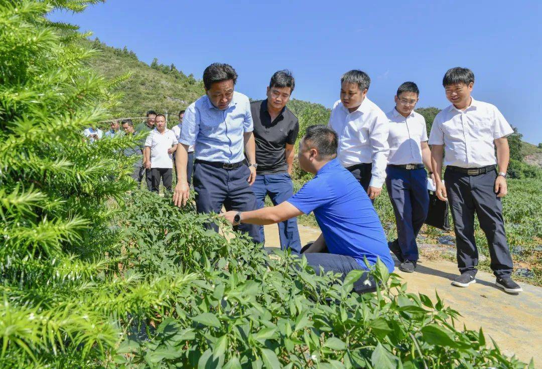 縣委副書記王喬順,織金經濟開發區黨工委專職副書記付正祥,縣委辦