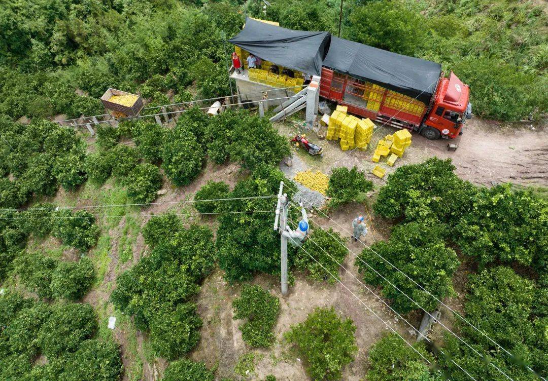 亮故事轨道索道进果园夏橙出山稳当当