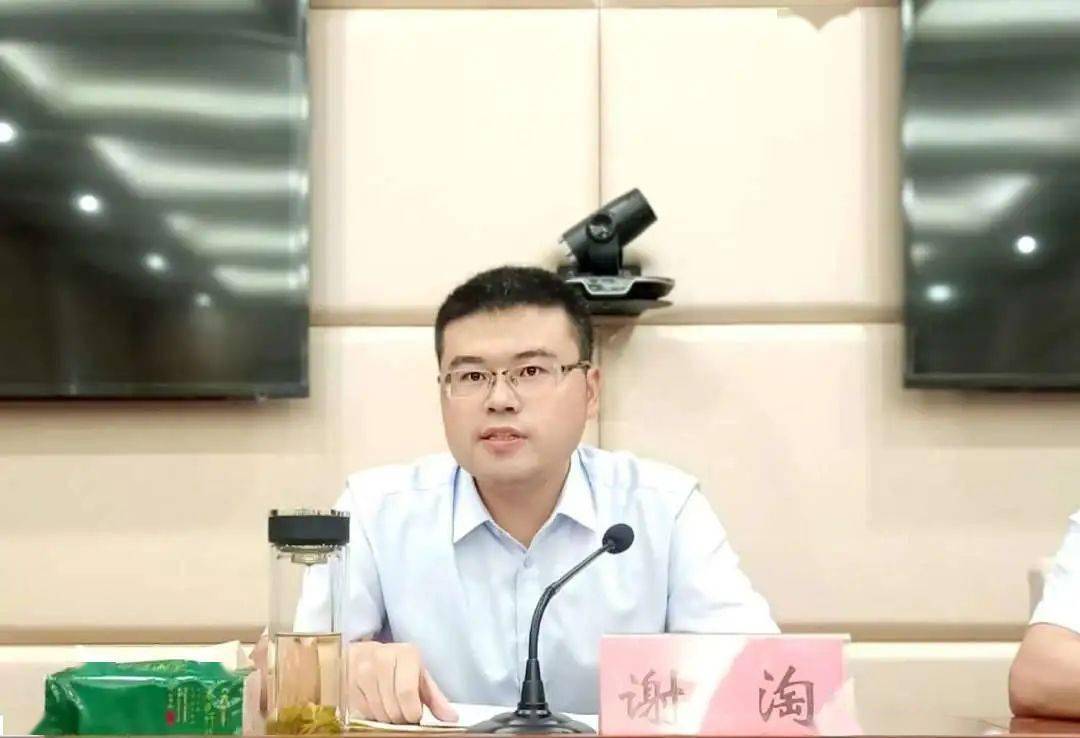 谢淘跳出分宜看分宜以创新的率先突破推动发展的全面提升