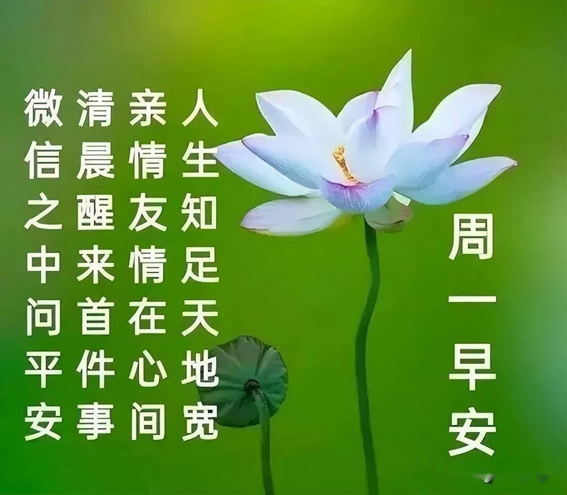 周一最新早上好表情动图祝福真心的祝福开心的每一天