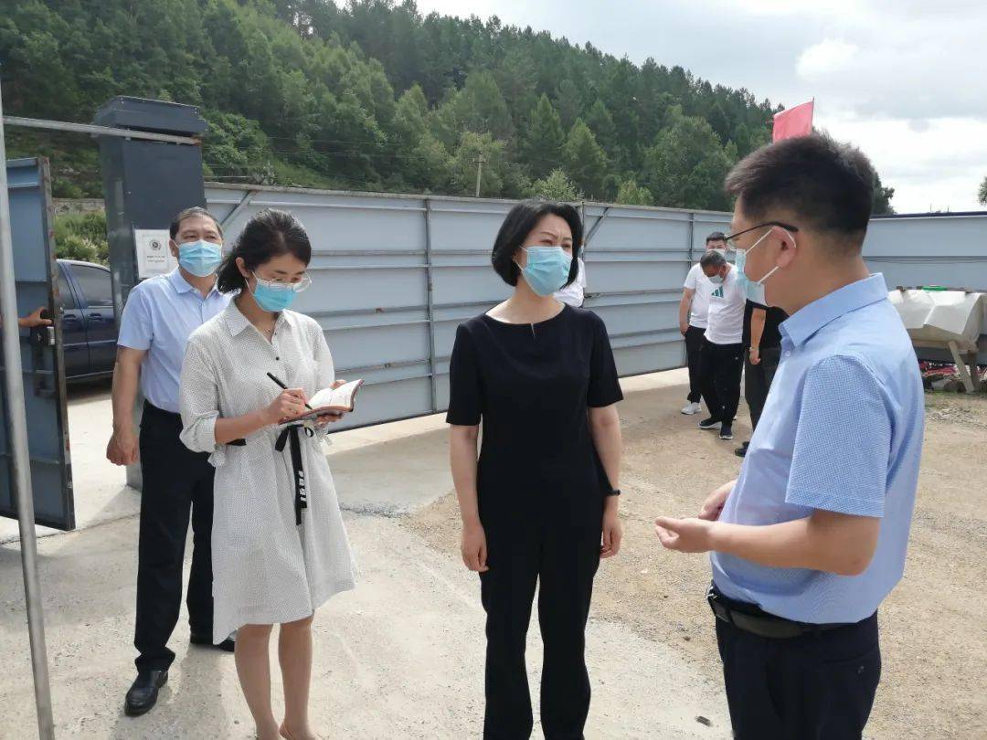 副市长肖爽到汤旺县调研指导工作