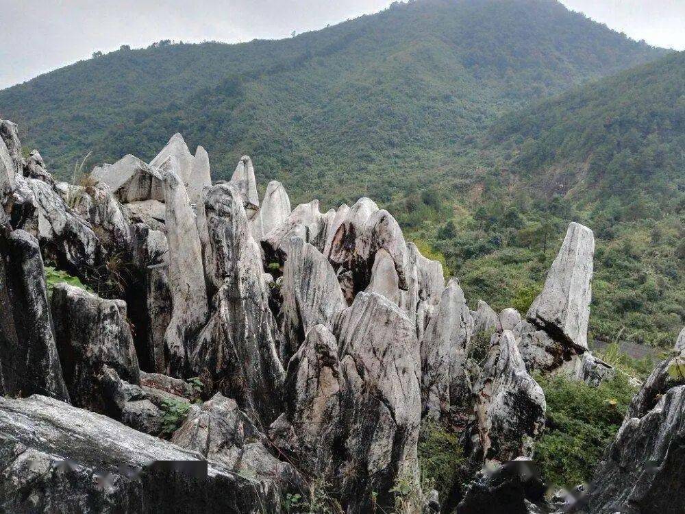 网红鱼鳞坝贺州姑婆山黄姚古镇玉石林鱼鳞坝汽车纯玩两天游480元