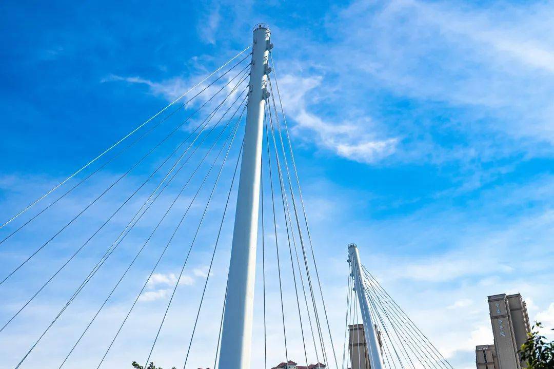 「栖云桥」福安打卡新地标上线!_角度_大桥_钢索