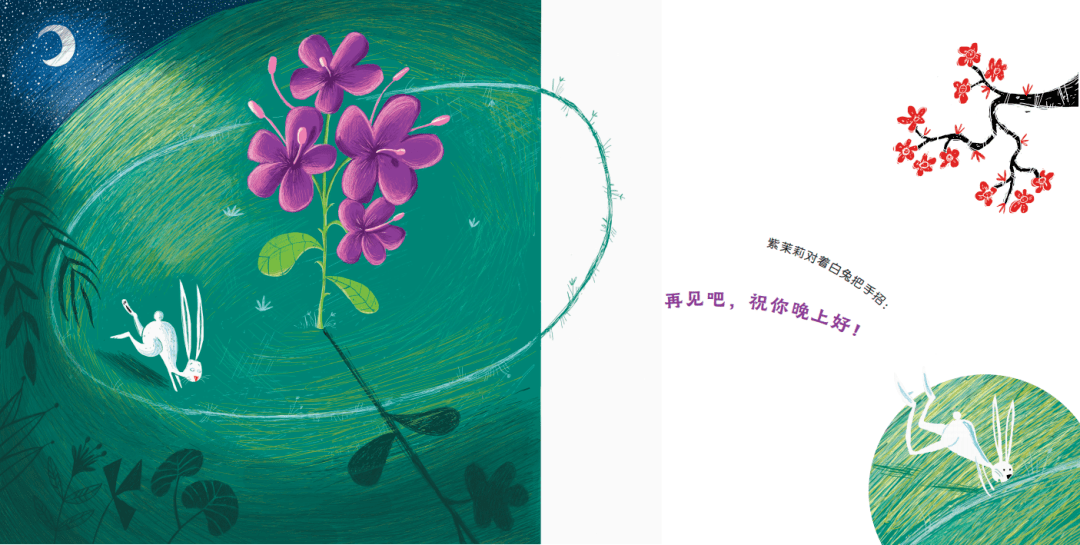 《布谷鸟的心愿》:在诗意画境中,感受时间流淌