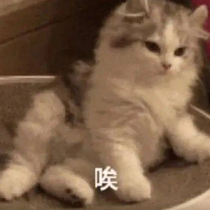 作为汉语言语交际话题过渡讯号的“唉”_箭头_序列_研究