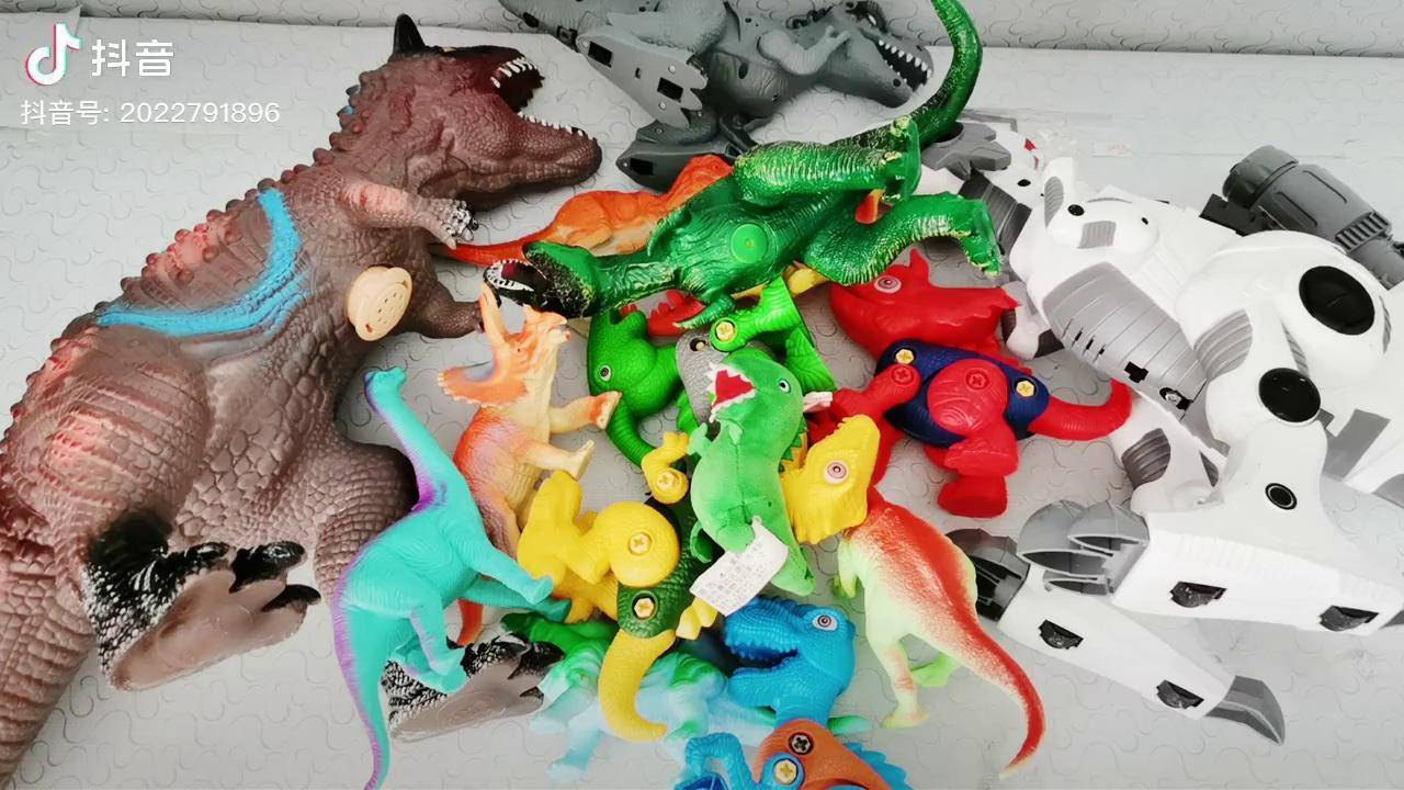 恐龙玩具大集合欣赏视频霸王龙三角龙食肉牛龙剑龙儿童玩具视频恐龙
