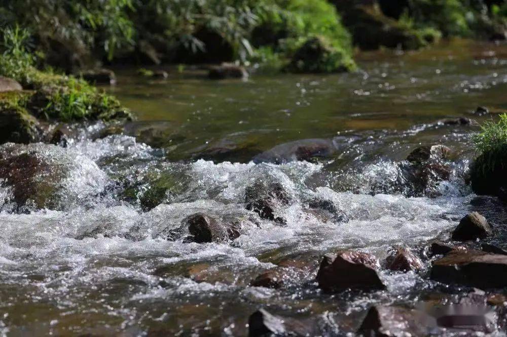 黄金峡位于丹棱县城西24公里张场镇境内,紧邻国家4a级景区老峨山,森林