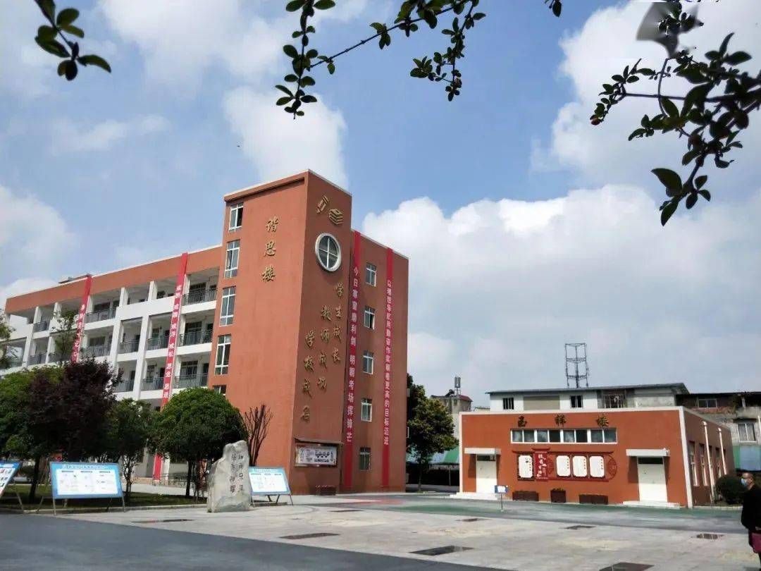 劳动教育看双流⑥走进成都市双流区金桥初级中学