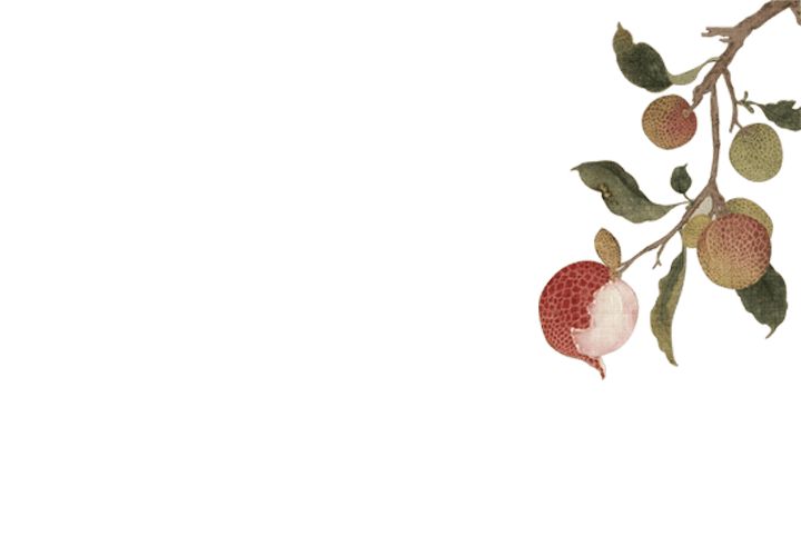 长安的荔枝_李善_岭南_杨国忠