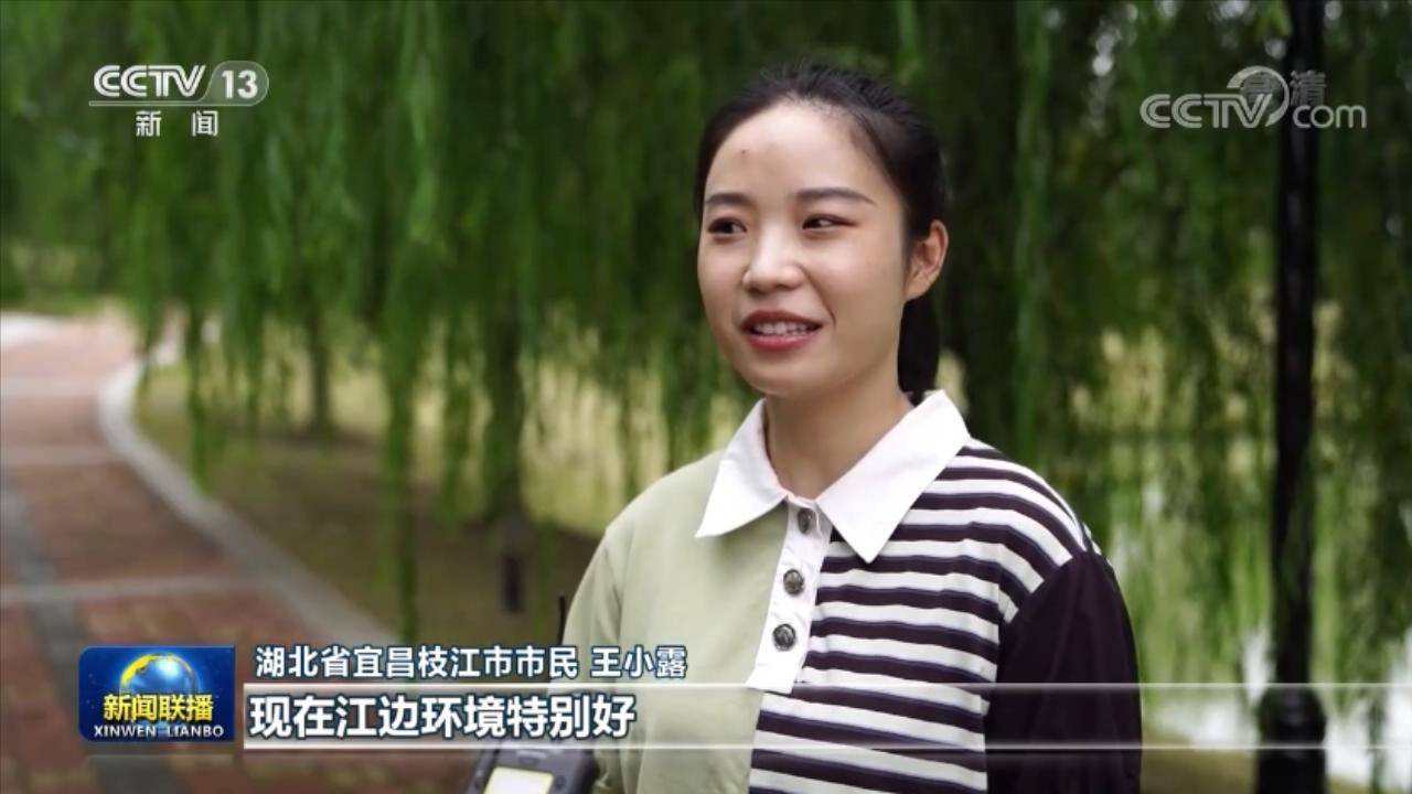 【奋进新征程 建功新时代·非凡十年】奋力描绘湖北高质量发展新画卷_长江_绿色_产业