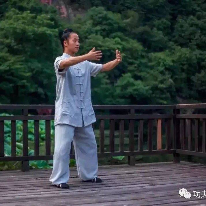桩功,真东西还得桩中求_感觉_反应_意念