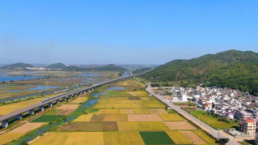 海丰县大湖镇规划图片