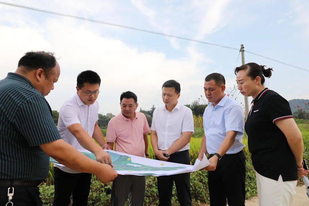 7月29日,县委书记唐何深入紫溪市镇调元村,调研指导调元渡口"渡改桥"