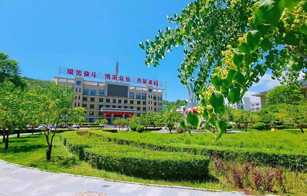 潞安化工:绿意盎然 蓬勃向上_孔静_公司_发展