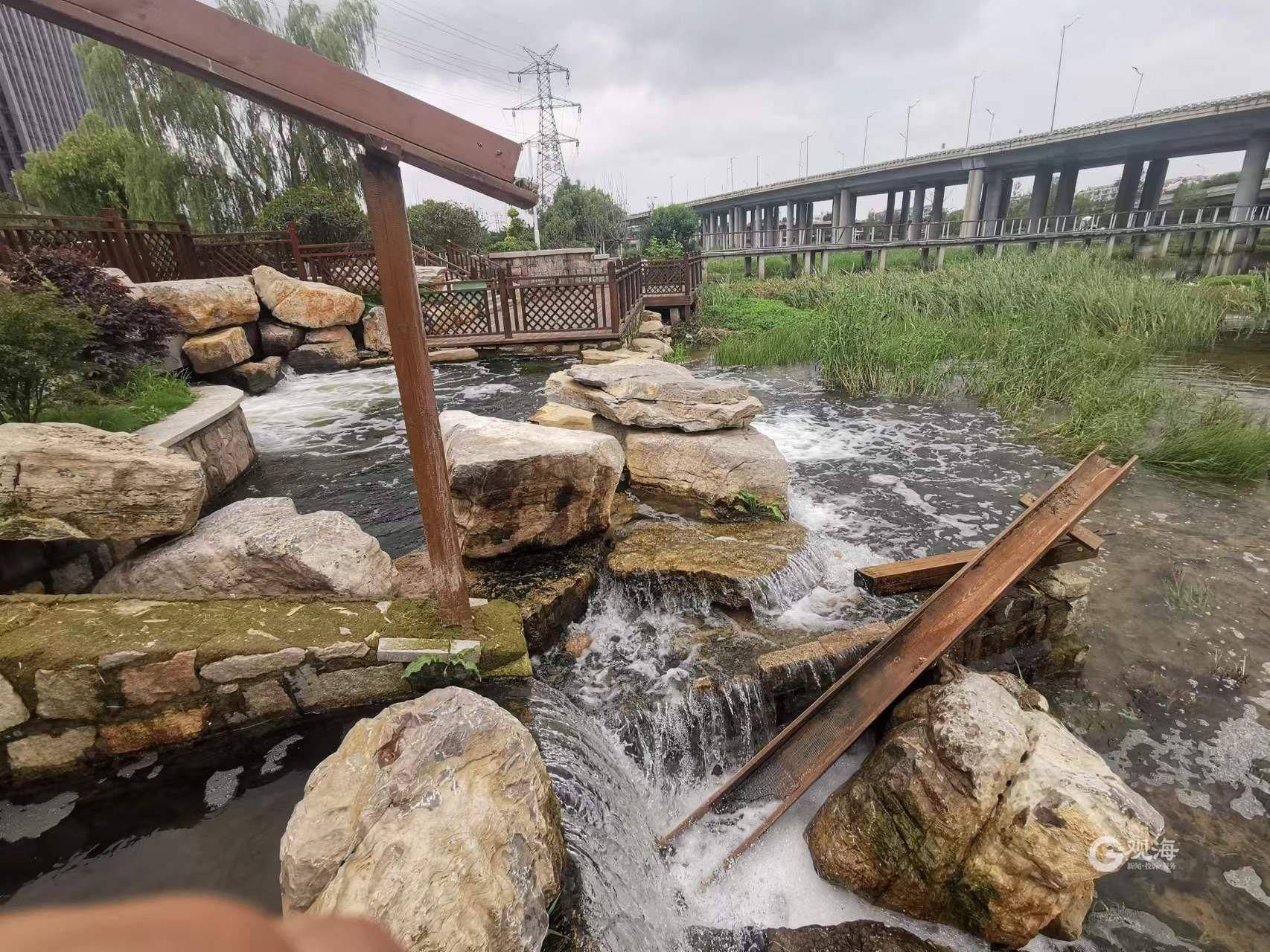 日前,有市民在观海新闻客户端"直通12345"平台留言反映,舞阳路附近的