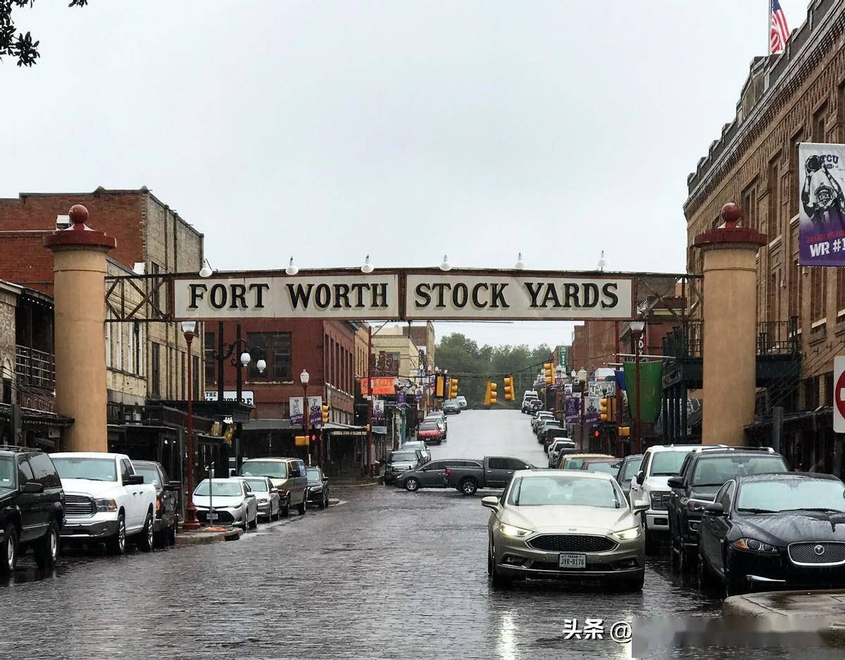 达拉斯：看长角牛游街和西部老牛仔_搜狐网, image size:1200x938