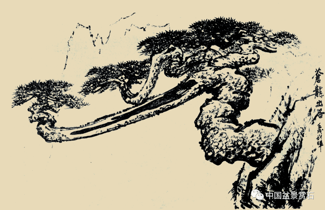 周士峰浅谈黄山松艺术形象对松树盆景创作的影响