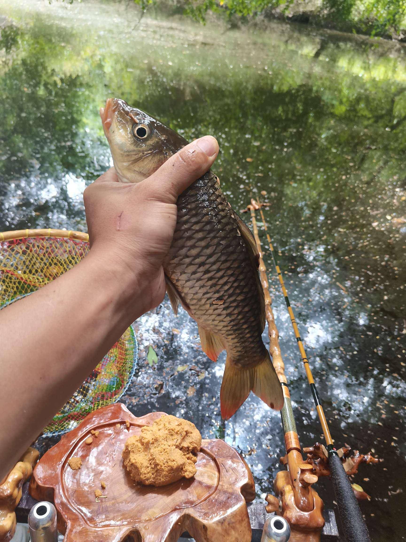 八月鱼获纵横山水间随我来爆护