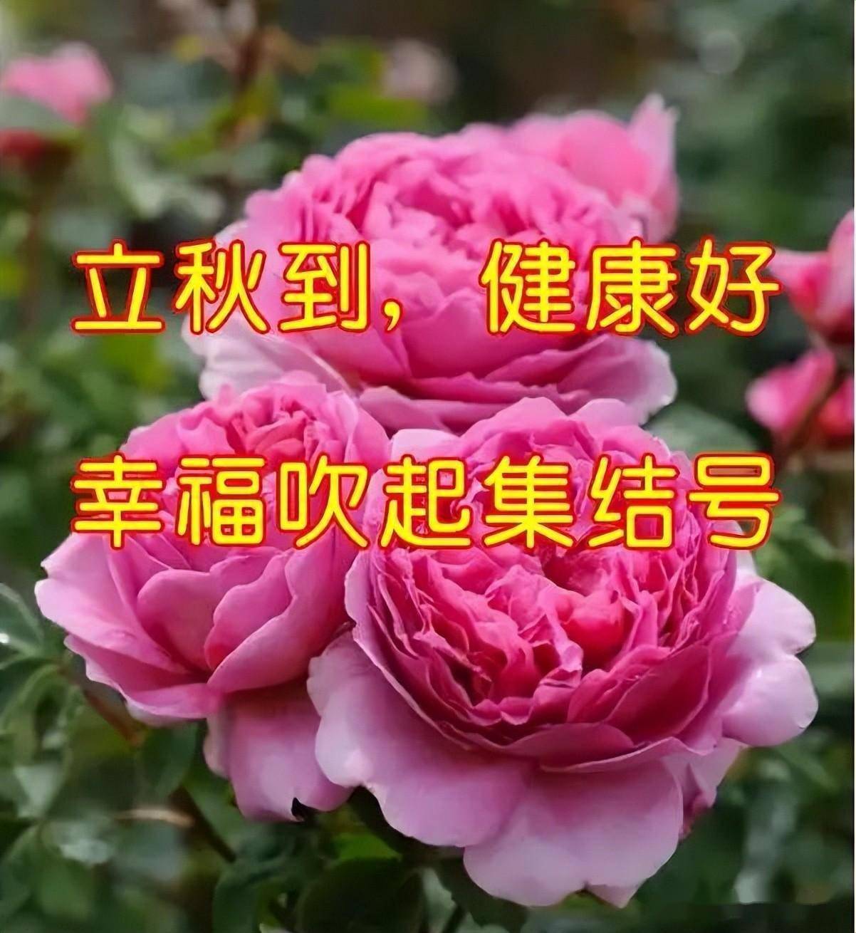 六畜平安符咒图片