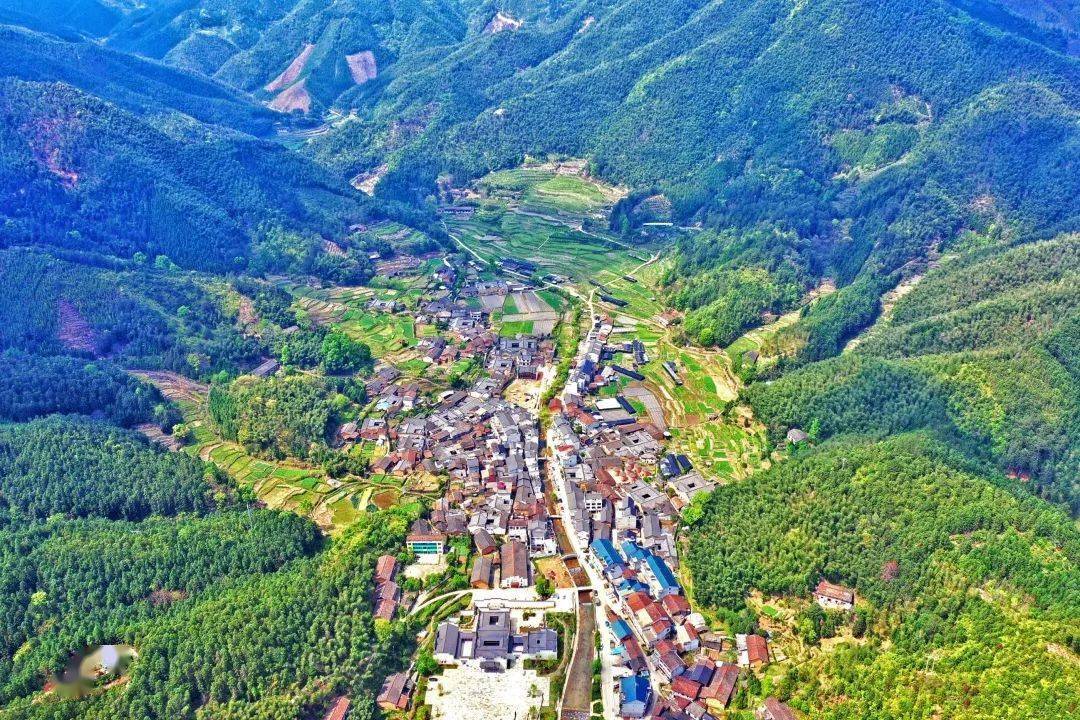 龙泉上垟:盘活闲置农房,让"沉睡"资源变财富_上垟镇_宅基地_农村